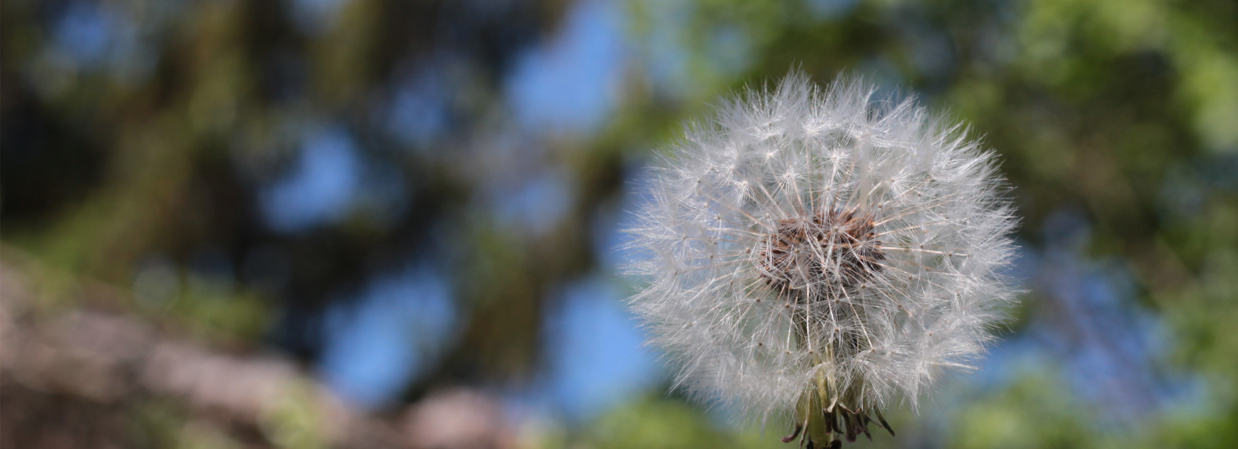 L'éducation est une atmosphère, une discipline, une vie.